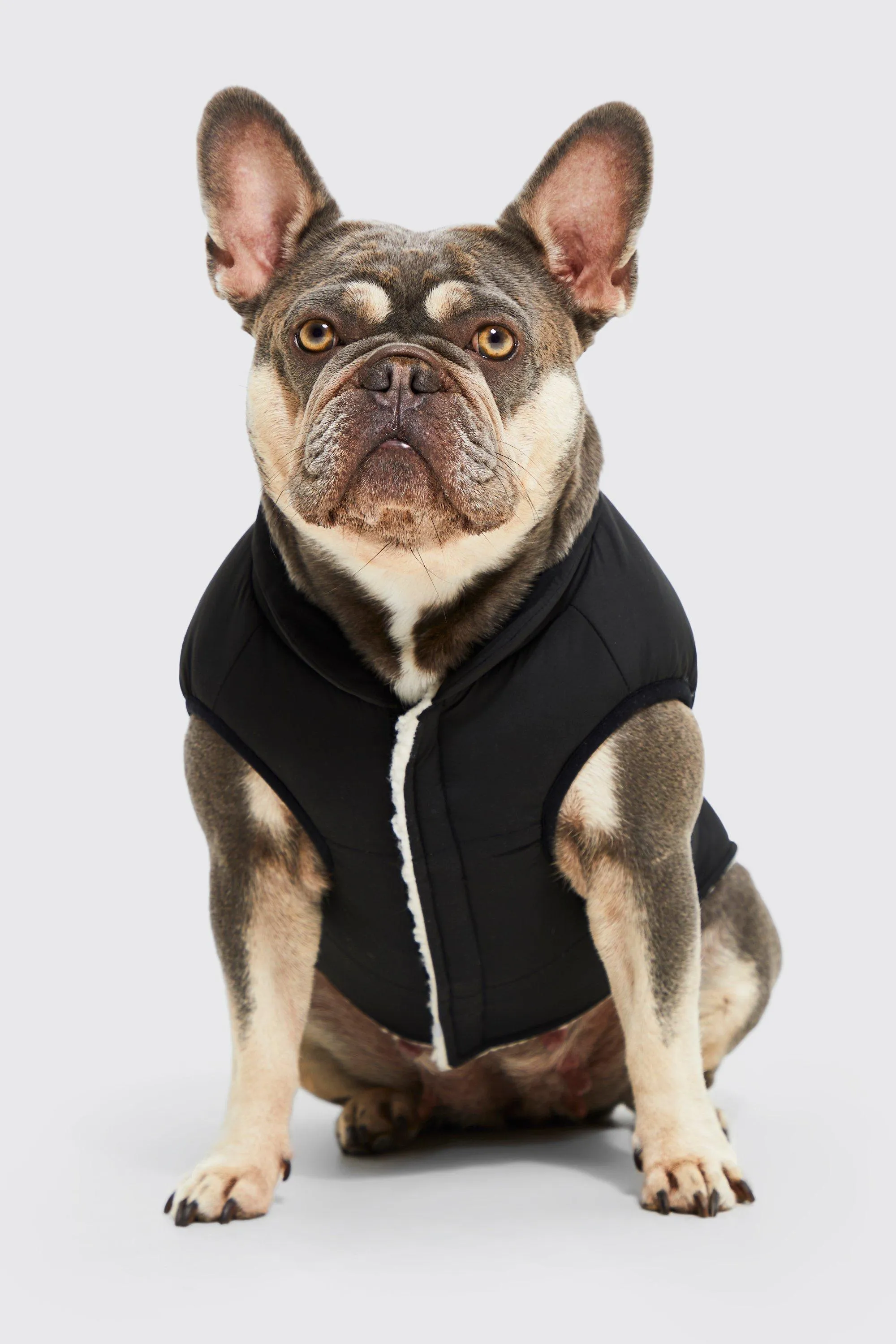 BoohooMAN Reversible Borg Dog Coat | boohooMAN UK