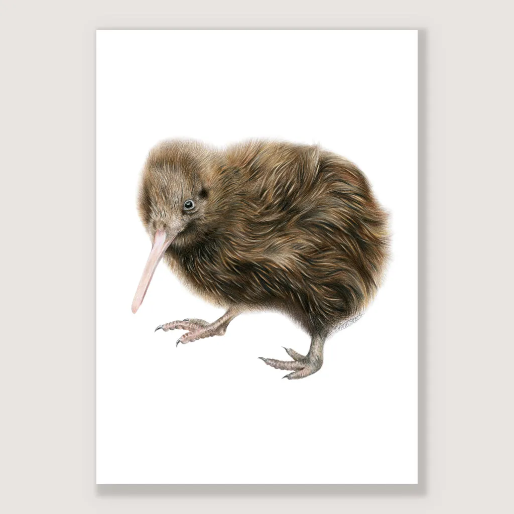 Kiwi Print