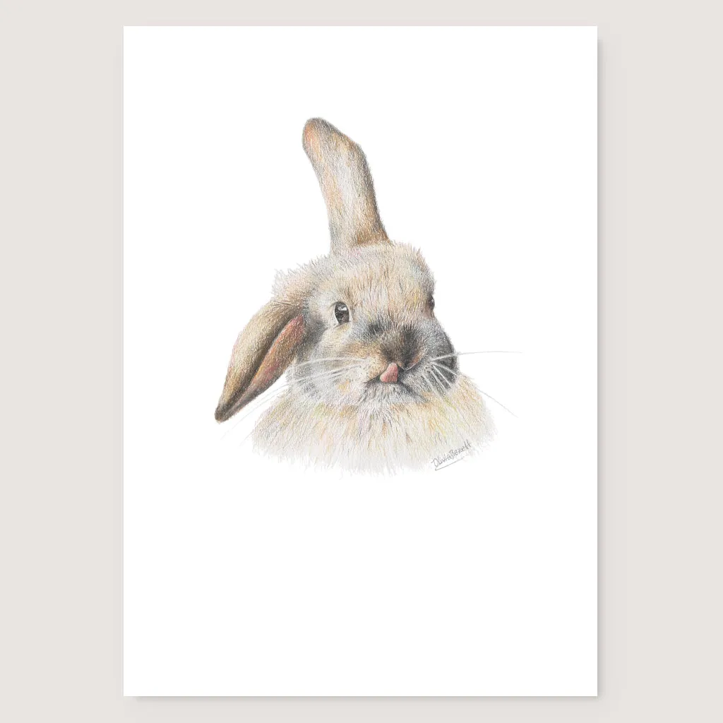 Silly Bunny Print