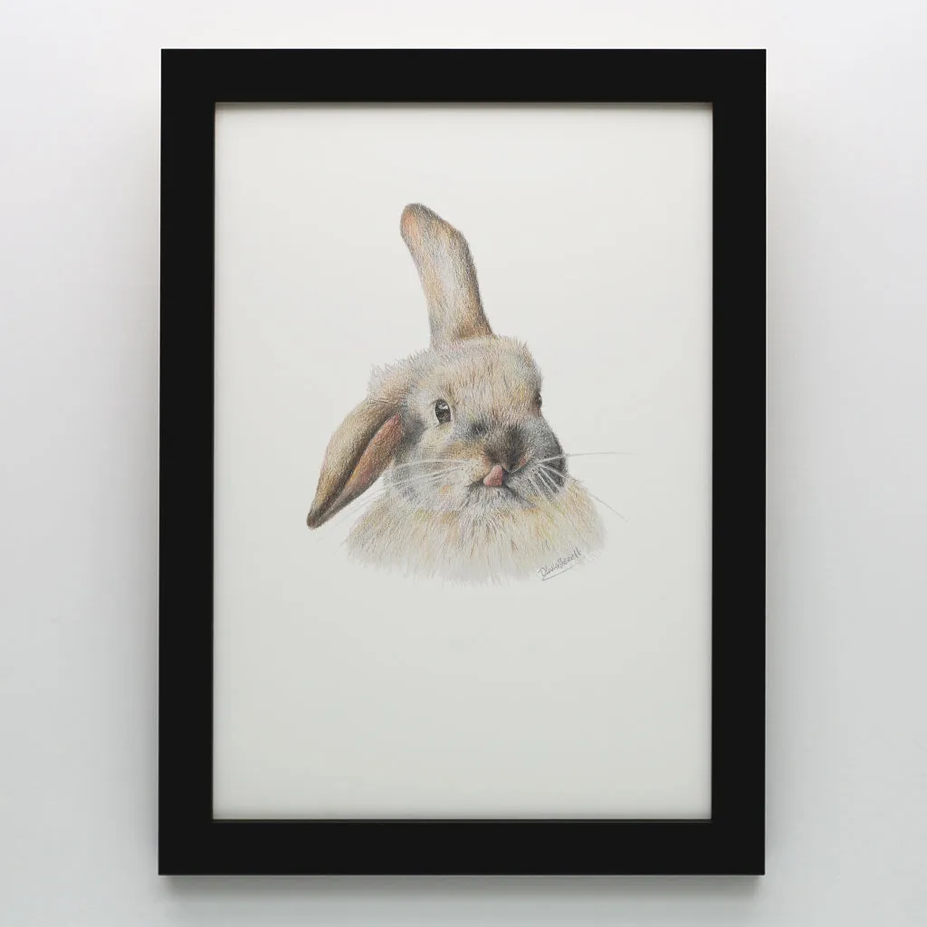 Silly Bunny Print