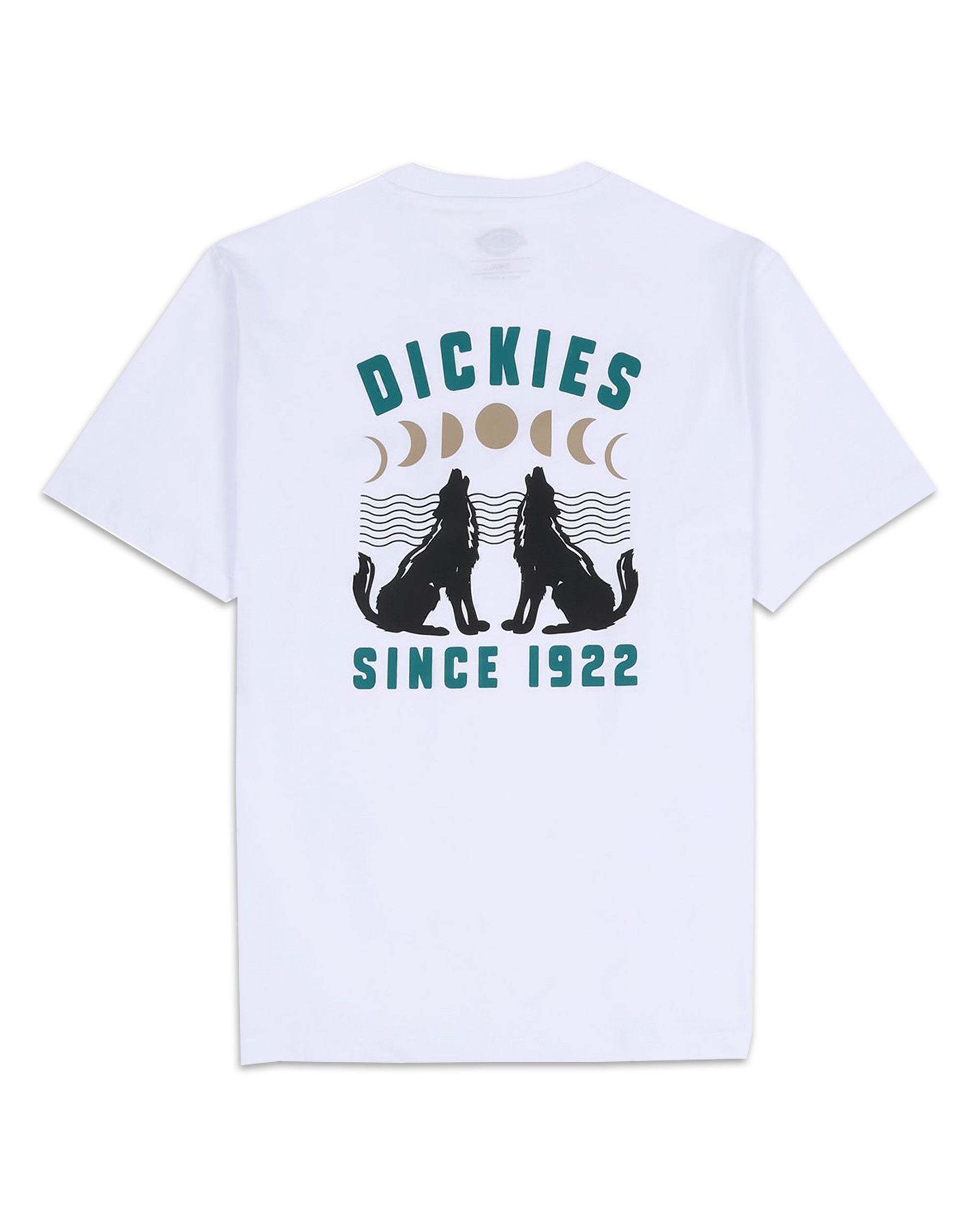 T-Shirt Uomo Dickies Kerby Tee Bianco