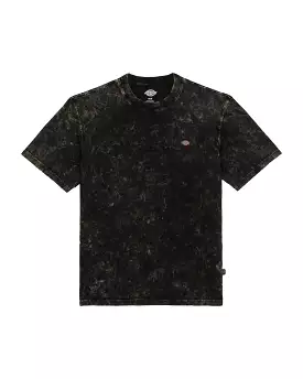 T-Shirt Uomo Dickies Newington Nero